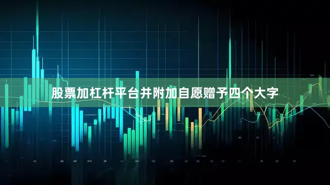 股票加杠杆平台并附加自愿赠予四个大字