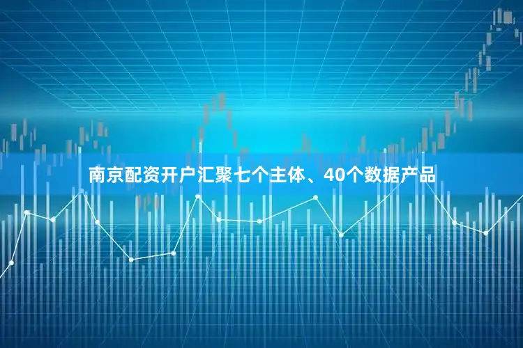 南京配资开户汇聚七个主体、40个数据产品