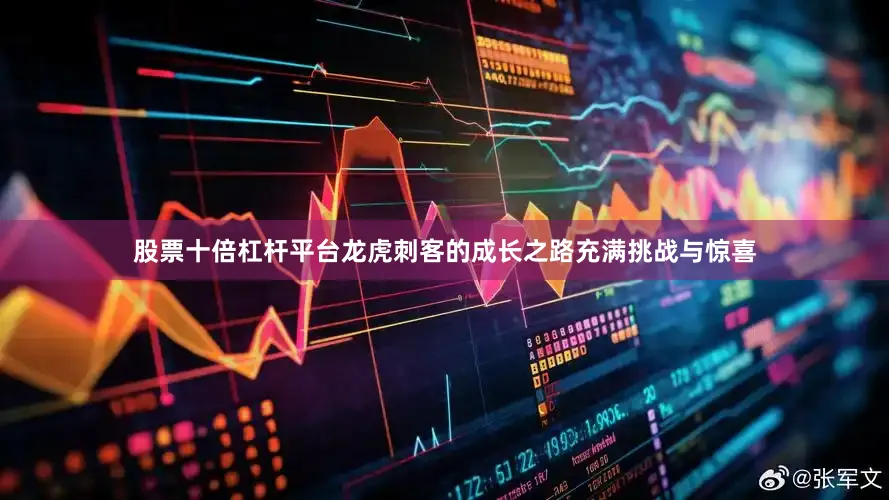 股票十倍杠杆平台龙虎刺客的成长之路充满挑战与惊喜