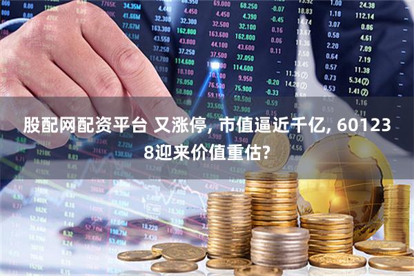 股配网配资平台 又涨停, 市值逼近千亿, 601238迎来价值重估?