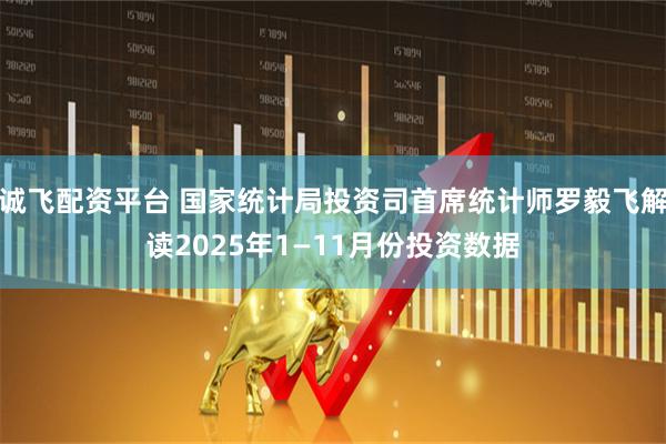 诚飞配资平台 国家统计局投资司首席统计师罗毅飞解读2025年1—11月份投资数据