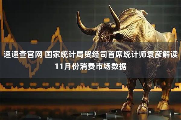 速速查官网 国家统计局贸经司首席统计师袁彦解读11月份消费市场数据